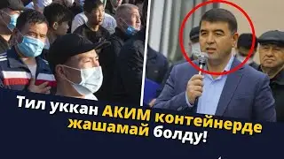 Тил уккан АКИМ контейнерде жашамай болду!