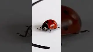 This is an incredible experiment! And it works! 