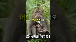 인간은 모두 미숙아로 태어난다
