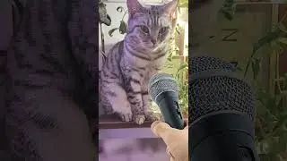Планы на лето.
