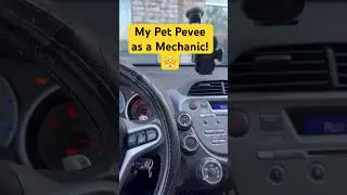 What’s your Pet Peeve being a mechanic? #cars #shorts #viral #mechanic #shortsvideo