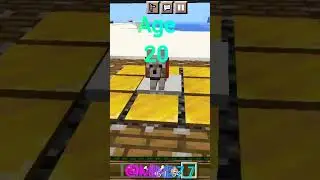 Minecraft age 10 to 25 👾 @mine7.7#minecraft #short #youtubeshorts #shorts
