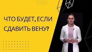 ЧТО БУДЕТ, ЕСЛИ СДАВИТЬ ВЕНУ?