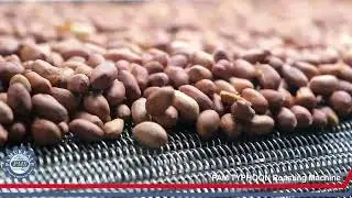 PAM TYPHOON Full Automatic Roasting Line | Peanut Roaster 