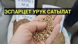 ЭСПАРЦЕТ жакшыбы БЕДЕБИ || КОММЕНТАРИЙГЕ жазыңыз