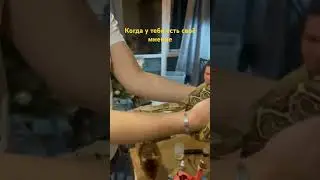 #cats