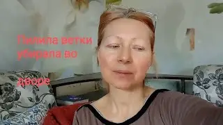 Всё заросло, джунгли во дворе.  Пилила ветки ,убирала.Куда деть мусор?