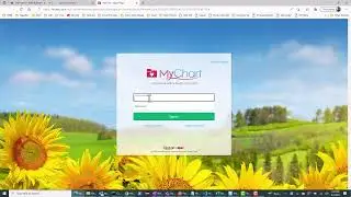 SAP Open Connectors - Healthcare info from EPIC FHIR Sandbox systems (Part 3)