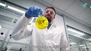 מה כדאי ללמוד?