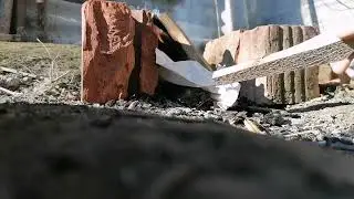 Обработка черепа собаки.