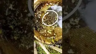 MMCD East Instagram Takeover