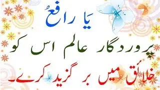 ya rafeu parverdegar alem is ko khalek me br ged kary 2019