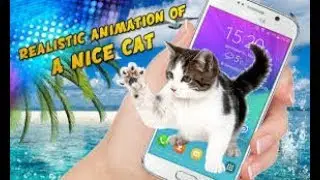 Cute cat walking and meowing on the screen of your phone