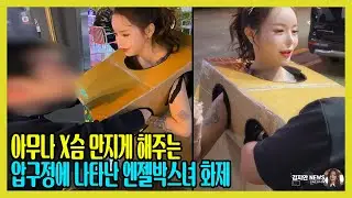 압구정에 박스 하나만 걸치고 활보! 화제의 엔젤박스녀
