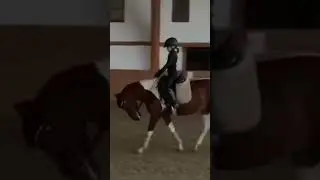 #horse #конный