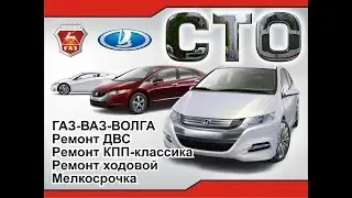 прикол дня