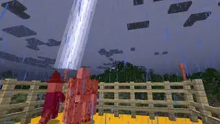 A villager struck by lightning becomes a Witch