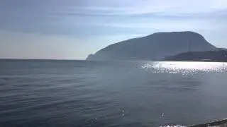 IMG 0397