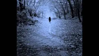Evenescence - The Last Song I'm Wasting On You