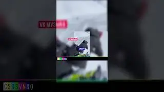 4 октября 2023 г.