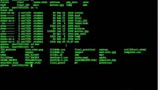 Unix Tutorials 2 - ls and cd Commands