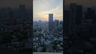 30 seconds of sundown from Tokio Tower #familyfun #tokyo #familytrip #familyvacation  #travel