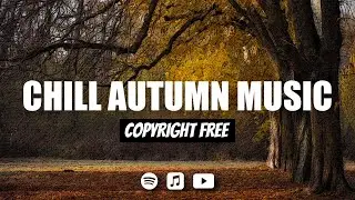 12 Hours of Free Background Music - Copyright Free Music for Creators and Streamers