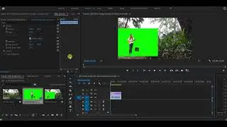 Adobe Premiere Pro Simple Combining Green Screen With Video Background With Ultra Key