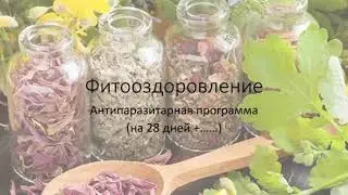 Антипаразитарная программа 28+