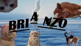 Brianzo - Tecnología (audio)