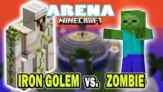 Minecraft Arena Battle IRON GOLEM vs ZOMBIE