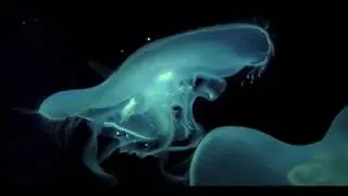 hnrk - untitled 9