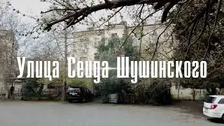 Бакиханова (Разина) Улица Сеида Шушинского рядом с Дворцом