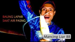 BAUNG LAPAR SAAT AIR PASANG