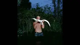 Diplo - Sad in the Summer ft. Lily Rose (Studio Acapella)