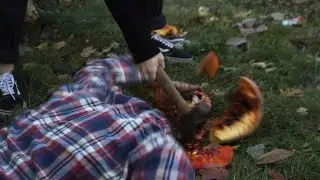 Making of ; Les marteaux Marleau