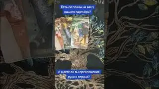 #тарологонлайн #отношения #таро #любовь #tarot #гадание #еленастра #королевамечей