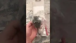 Новогодний подарок от жены в ответ на мой подарок, главное не цена, а эмоции SWITCH OLED👍👍👍