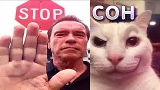 ВСЮ НОЧЬ ИГРАЮ В ИГРЫ