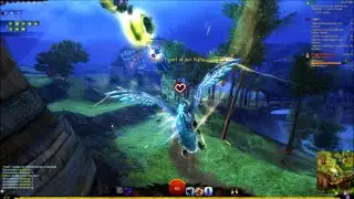 Griffon vs Beetle