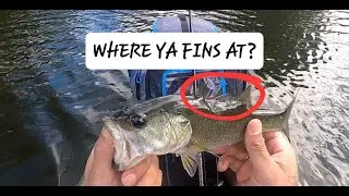 IT TOOK ME 1HR TO CATCH 2 DAMN BASS... WHAT!?!?