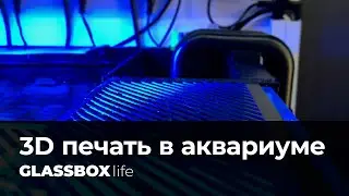 1 - 3D печать в аквариуме.