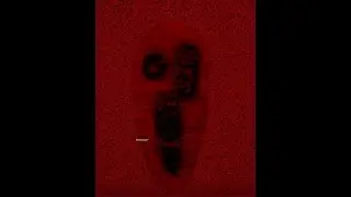 Реакция на князича но их 3!!!!!