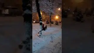 Вышли с тренировки по тэквондо. Январь, 2017