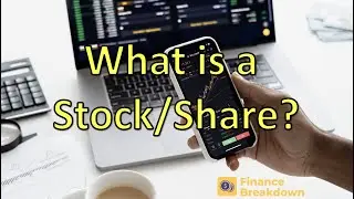 What is a Stock/Share