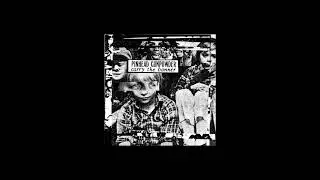 Pinhead Gunpowder   Carry The Banner FULL ALBUM