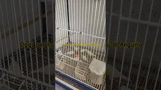 Oggi per la loro goduria un po' di Anguria 🍉