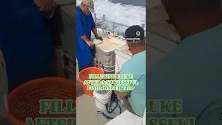 Fish Monger has a lot of cutting to do. Great day with a full box. #fish #fishing #saltlife #shorts