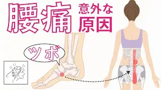 腰痛（背骨に近いところ〜お尻）の意外な原因｜ツボ