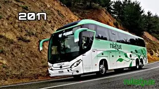 Busología Chilena 2017